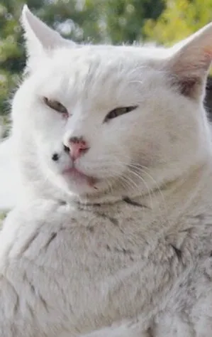 Фотография актёра Усико