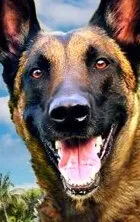 Фотография актёра Бек