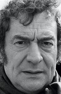 Фотография актёра Жюльен Гиомар