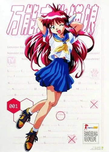 Универсальная современная девушка-кошка