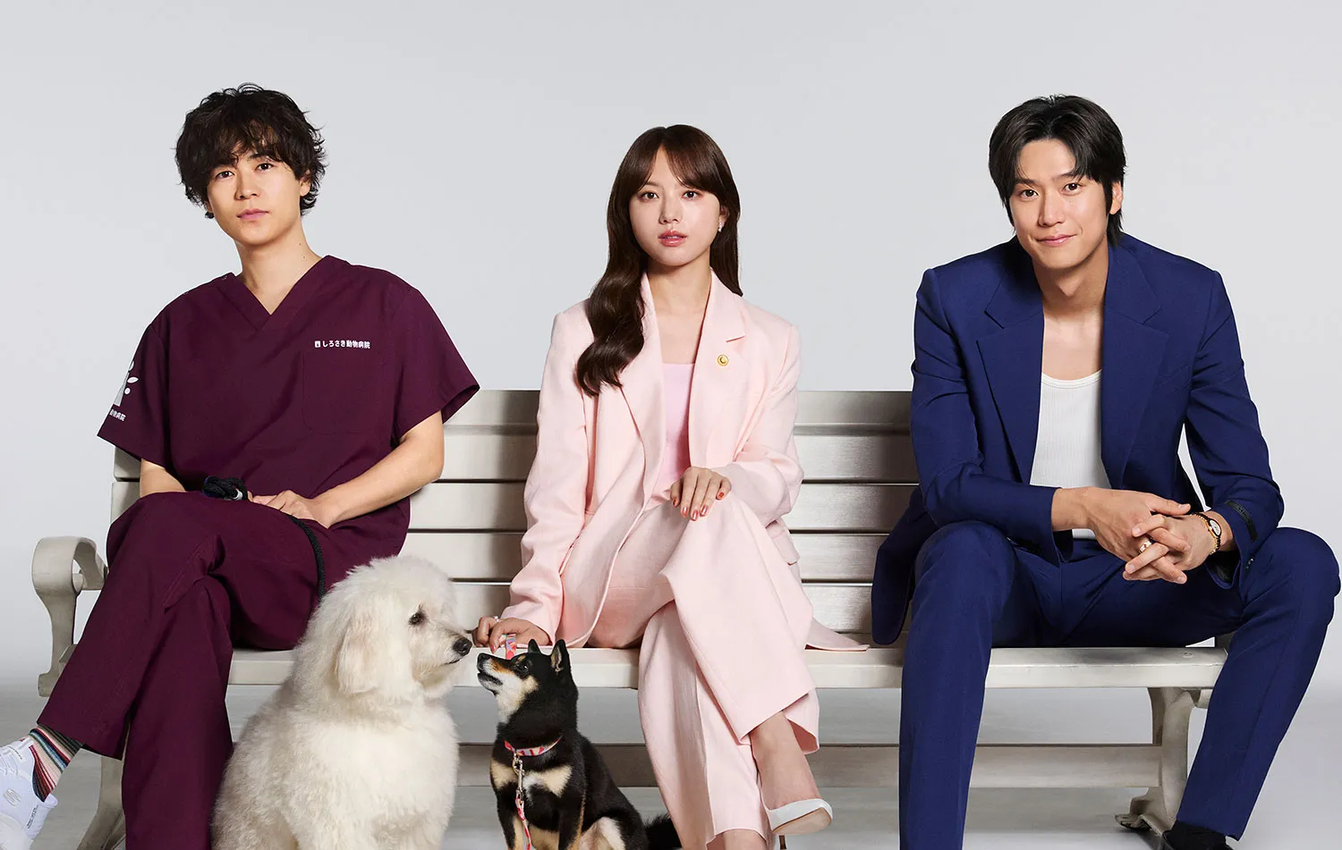 Любовь для собак – постер сериала