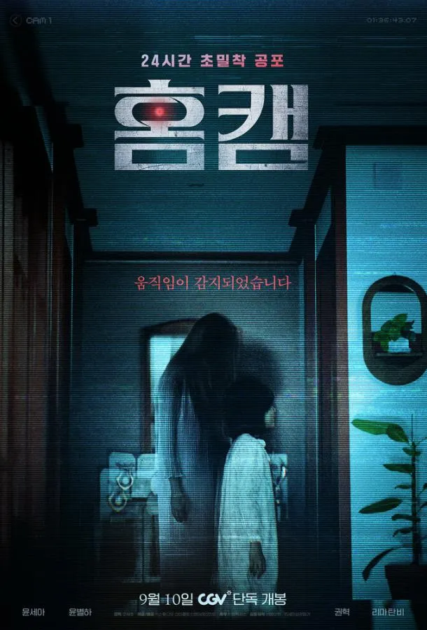 Домашняя камера